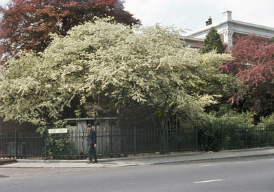 22575 Gezicht op het urinoir op de hoek van de Vaartsestraat en de Catharijnesingel te Utrecht.